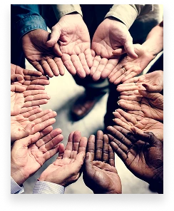 Foundation image (6)